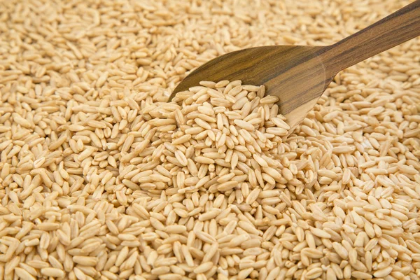 Oat grains and wooden spoon — Stock Photo, Image