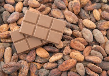 Kakao çekirdekleri ve çikolata parçaları