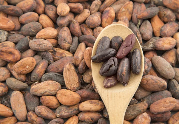 Cocoa beans on wooden table