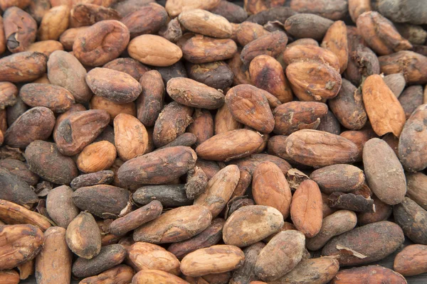 pattern of the cocoa beans background