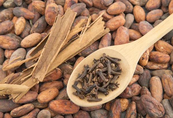 Cocoa powder, cinnamon sticks and cloves — Stock Photo, Image