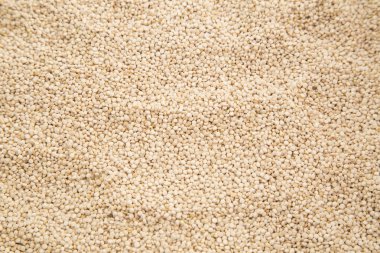 Quinoa Tahıl ahşap arka plan üzerinde