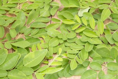 Ahşap arka plan Moringa yapraklarda