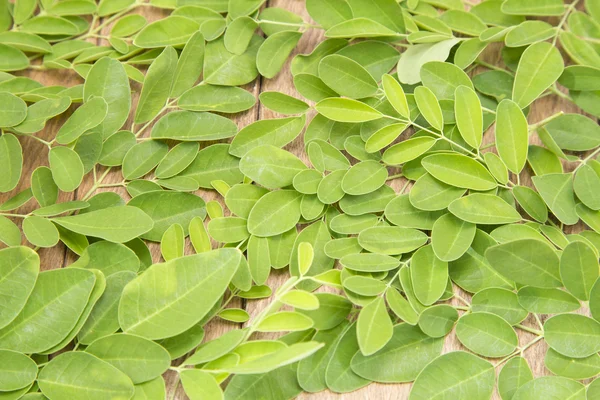 Moringa bladeren op houten achtergrond — Stockfoto