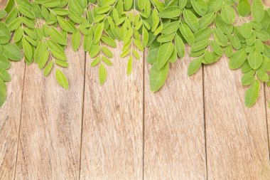 Moringa leaves on wooden background clipart