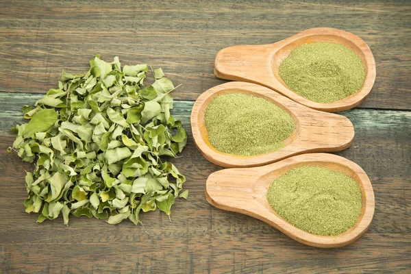 Moringa poeder - medicinale plant - Moringa oleifera. — Stockfoto