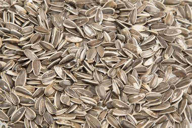 Zengin ve besleyici Ayçekirdeği