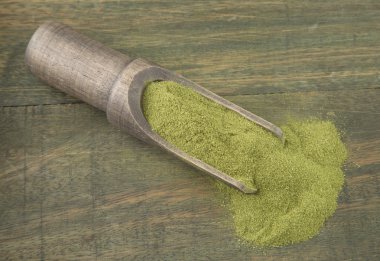 Moringa powder with wooden spoon clipart