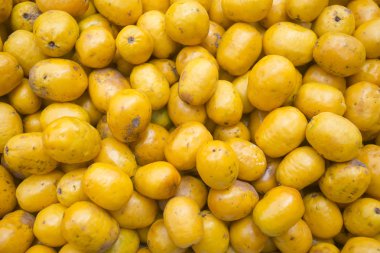 Spondias purpurea Lezzetli tropikal meyve