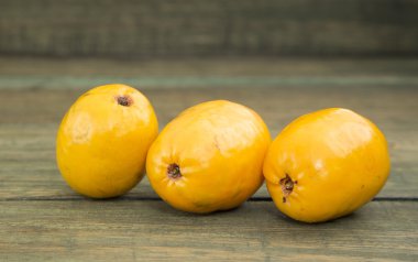 Spondias purpurea Lezzetli tropikal meyve