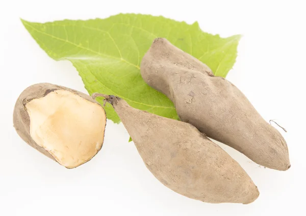 Fresh Yacon roots on white background — Stock Photo, Image