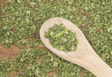 Hızla büyüyen Güney Asya yerli ağaç ve tropik simdi Moringa oleifera olduğunu.