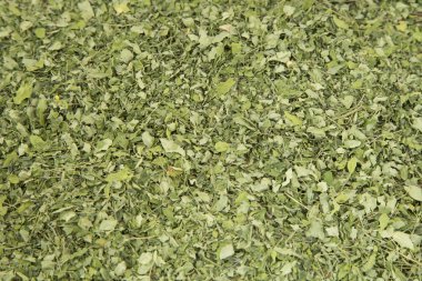 Hızla büyüyen Güney Asya yerli ağaç ve tropik simdi Moringa oleifera olduğunu.