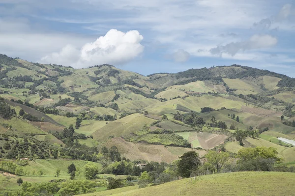 Dschungel in kolumbianischen grünen Bergen, Kolumbien, Lateinamerika — Stockfoto