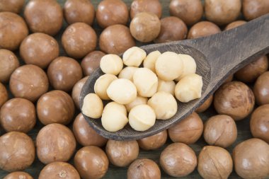 tahta kaşık içinde Macadamia fındık.