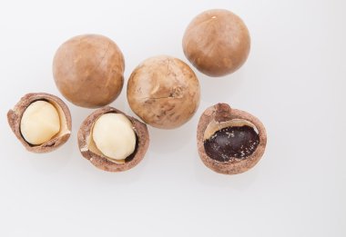 Macadamia fıstığı arka plan izole