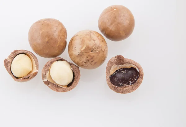 Macadamia nuts isolated background — Stock Photo, Image