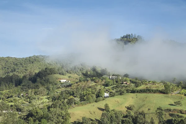 Hügelige Landschaft mit Nebel - Kolumbien — Stockfoto