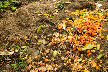 Organik atıklarla ev yapımı gübre.