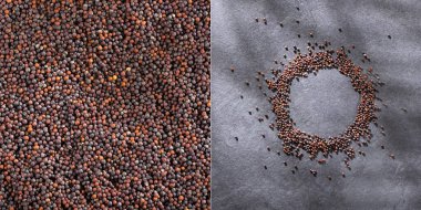 Organik kara hardal tanecikleri - Metin uzayı