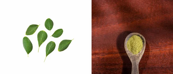 Moringa Oleifera Liściach Proszku Roślina Wielu Właściwościach — Zdjęcie stockowe