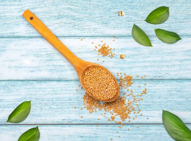 Sinapis alba - Tahta kaşıkta organik sarı hardal tohumu