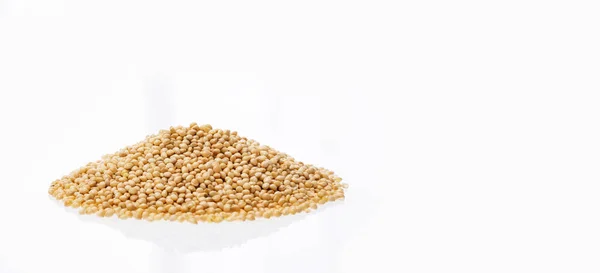 Organic White Millet Seeds Healthy Cereal — Stock Photo, Image