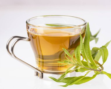 Limon verbena yaprağı ve verbena çayı. Aloysia citrodora.