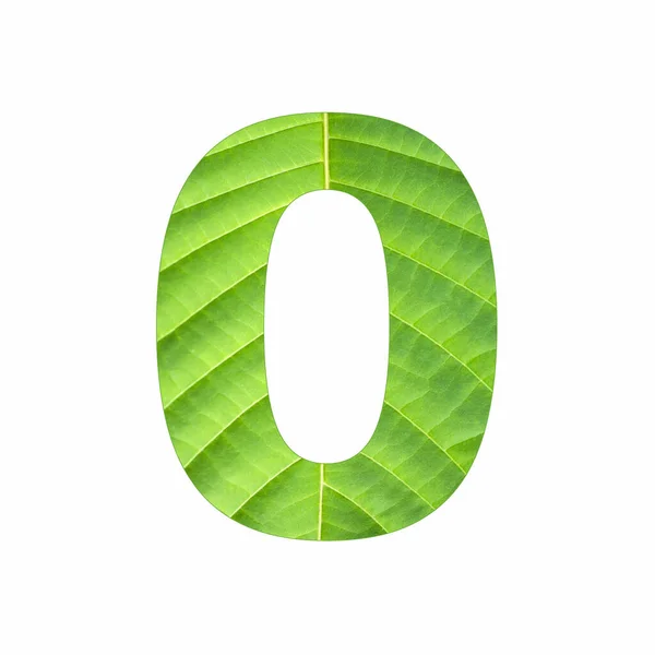 数字ゼロ 熱帯緑の葉のテクスチャ — ストック写真