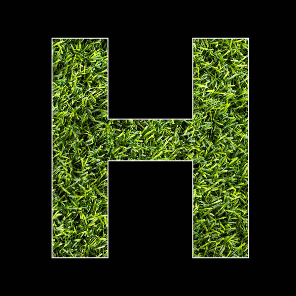 Letter H - Artificial grass background texture