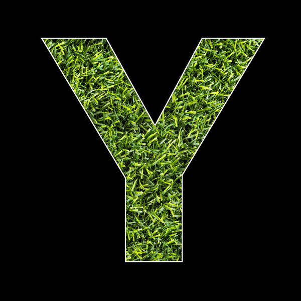 Uppercase letter Y - Artificial grass background texture