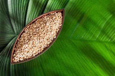 Hordeum vulgare, çiğ organik inci arpa. Sağlıklı yemek.