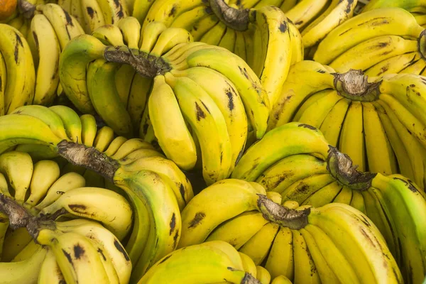 Banana Fruit Traditional Colombian Market Musa Paradisiaca — Stock Photo, Image