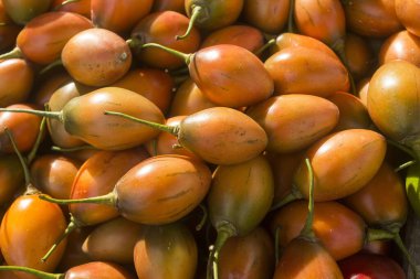 Geleneksel Kolombiya pazarında Tamarillo meyvesi - Solanum betaceum