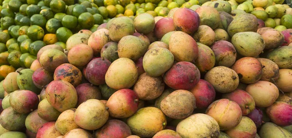 Mangifera Indica Fruta Tommy Manga Mercado Tradicional Colombiano — Fotografia de Stock