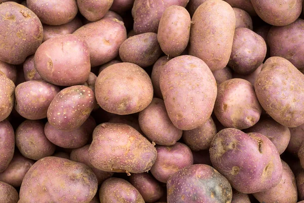 Patata Ecológica Mercado Tradicional Colombiano Solanum Tuberosum — Foto de Stock