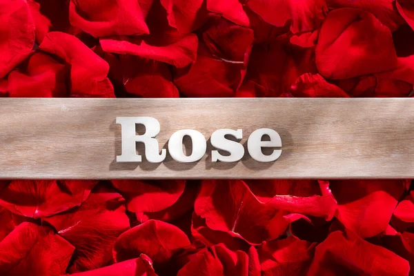 Pink Word Wooden Letters Red Rose Petals Background — 图库照片