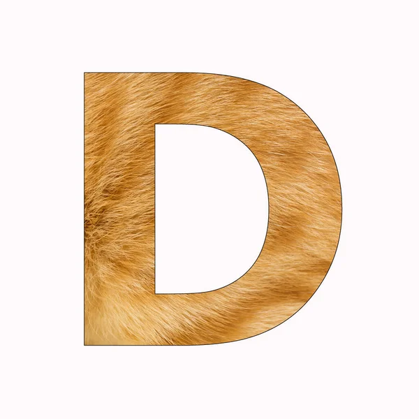 D大写字母大写字母 黄猫毛背景 — 图库照片