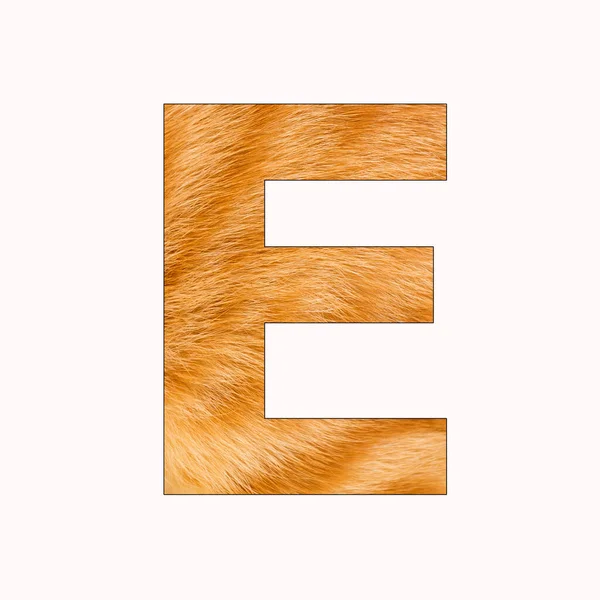 字母字母E 猫毛背景 — 图库照片