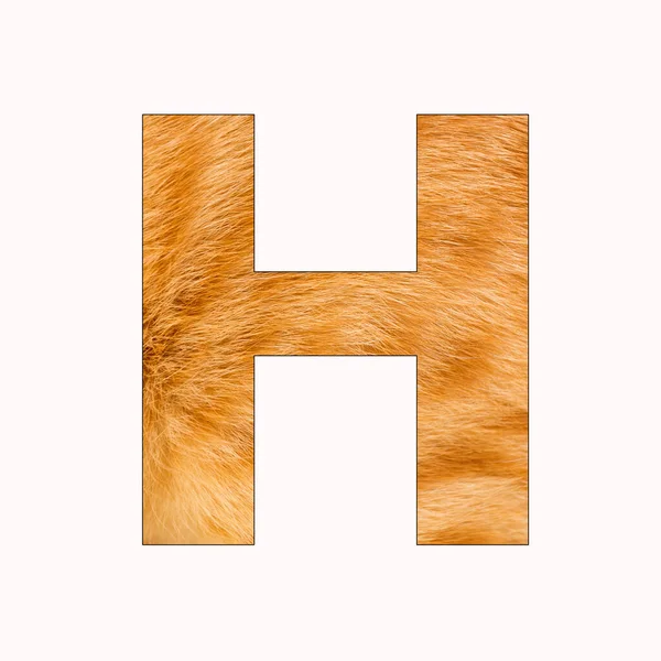 Letter Hoofdletter Alfabet Yellow Cat Fur Achtergrond — Stockfoto