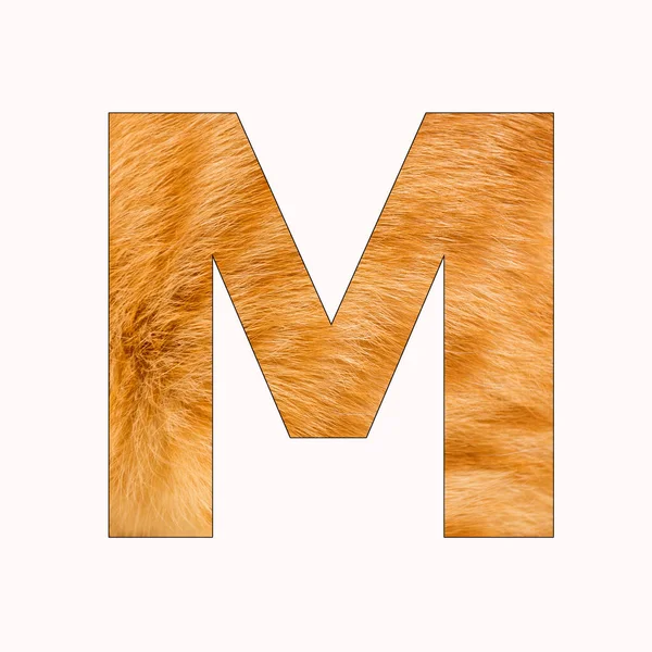 Alphabet Letter Cat Fur Background — Stock Photo, Image