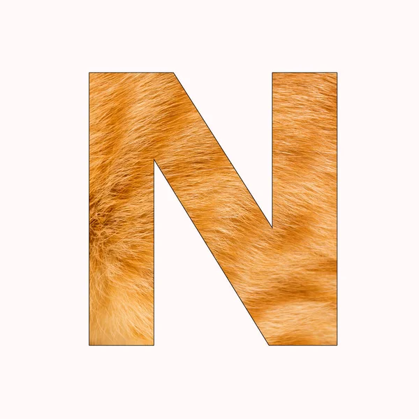 N大写字母大写字母 黄猫毛背景 — 图库照片