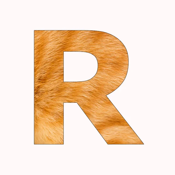 アルファベットR 猫の毛皮の背景 — ストック写真