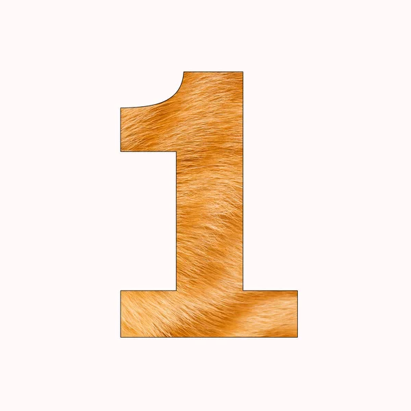 Number Digit Yellow Cat Fur Background — Φωτογραφία Αρχείου