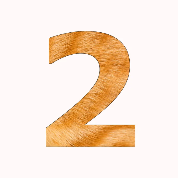 Number Two Yellow Cat Fur Background — Stock Fotó