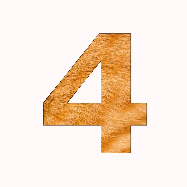 Number Four Yellow Cat Fur Background — Fotografia de Stock