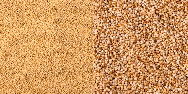 Amaranthus Amaranto Picado Cereal Alto Proteínas Sin Gluten — Foto de Stock