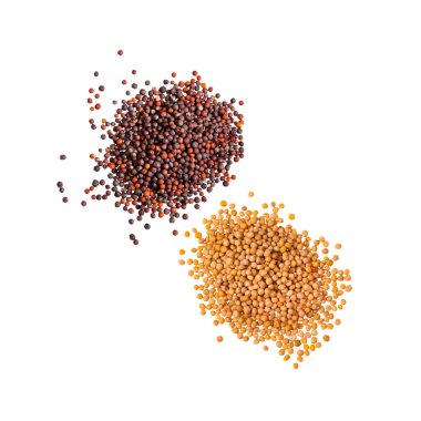 Organik kahverengi ve beyaz hardal tohumu - sağlıklı yiyecek