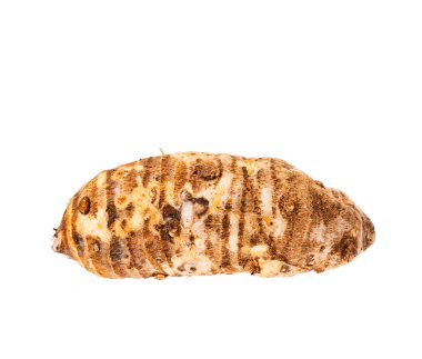 Sağlıklı ve organik taro kökü - Colocasia esculenta