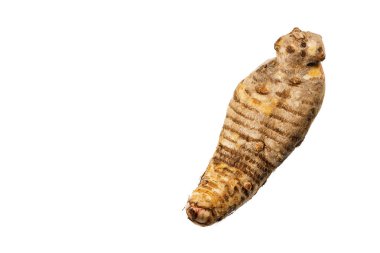 Organik Colocasia esculenta kökü - Sağlıklı yiyecek